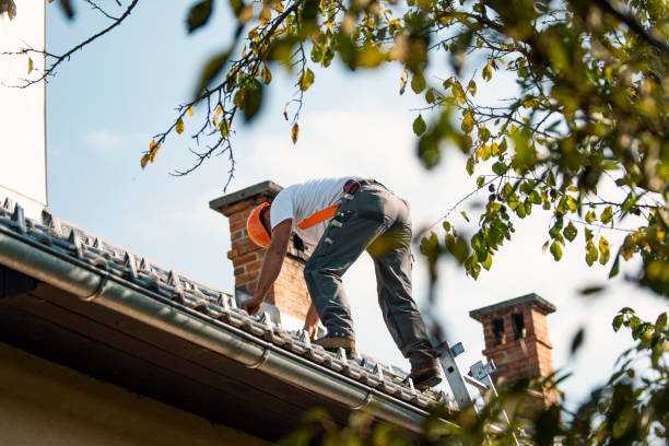 Best Slate Roofing Contractor  in Rio Grande, OH