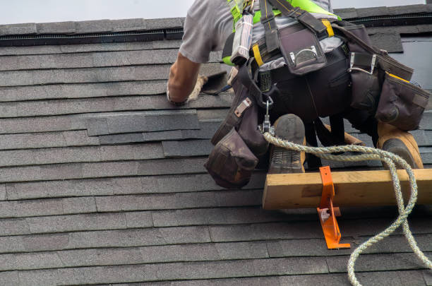 Best Roof Gutter Cleaning  in Rio Grande, OH