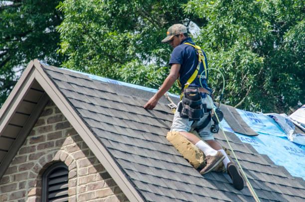Best Roofing Contractor Near Me  in Rio Grande, OH